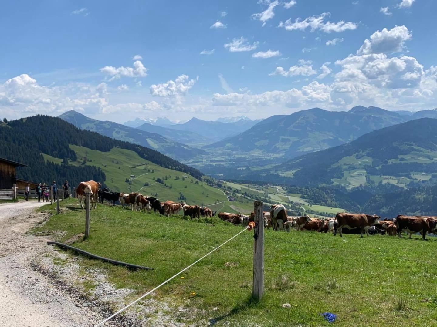 Appartement Alpenhof Wildschoenau Niederau Εξωτερικό φωτογραφία