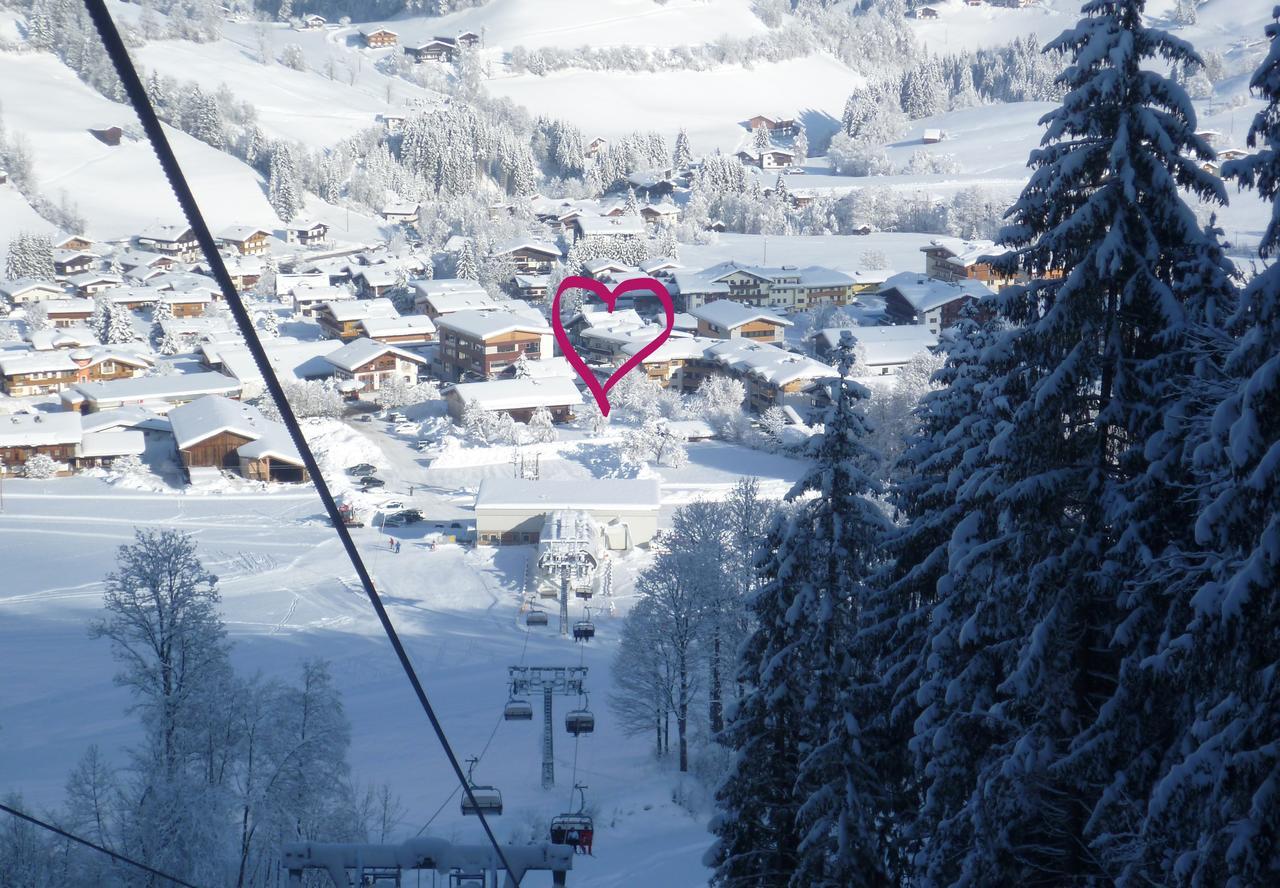 Appartement Alpenhof Wildschoenau Niederau Εξωτερικό φωτογραφία